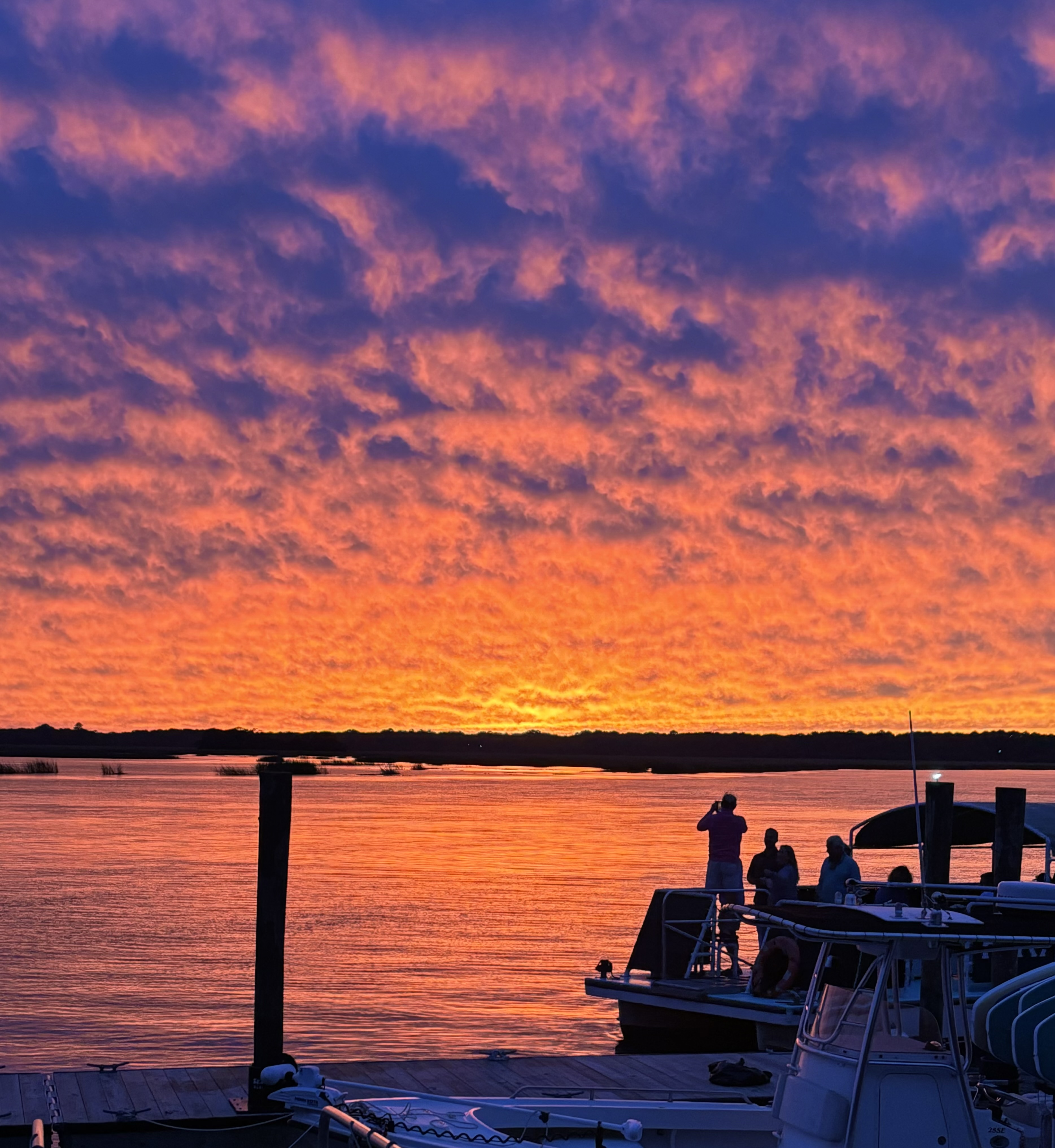Things To Do St. Johns Kayaks & Boat Tours